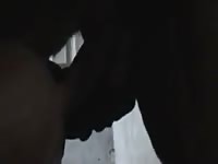 Horse Play 1 Gaybeast Rip - Beastiality Porn Movie