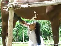 Horsecum Com Video 05 - Bestiality Sex Video