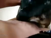 Stretching Her Pussy With His Cock Gay Beast Com - Animal Porn