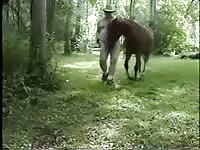 Strolling Blowjob Gaybeast - Beastiality Porn Tube
