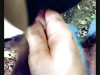 Sucknfuck Gay Beast Com - Animal Porn