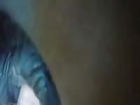 Summer Love Mare Fuck Gaybeast Rip - Zoo Xxx Sex