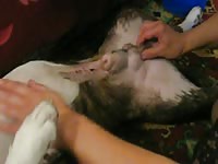[ Team Russia - Zoo Xxx Zooblowjob Nata