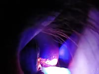 Techno Mare Hd Gaybeast.Com - Animal Porn Tube