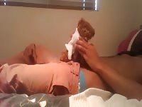 Teddy Bear Fun Gay Beast Com - Beastiality Sex