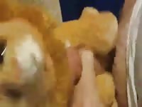Teen Boy With Plush 2 In Dog Bed Gaybeast.Com - Animal Sex Tube