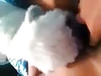 Teen Dog Lick Petsex Com - Animal Porn Tube