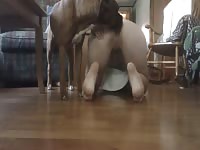 Teen Enjoys The Dog In The Street
