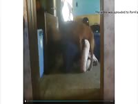 Teen Fucked By Dog Gaybeast - Bestiality Porn Tube
