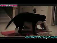 Teen Having Good Sex With Her Pets