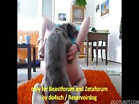 Terrier Fucks His Owner