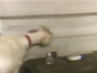 Texas Goat Fuck Gay Beast Com - Beastiality Porn Tube
