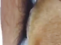 Thai And Dog Gaybeast Rip - Beastiality Sex