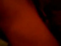 Thai Guy Passion 3 Gay Beast Com - Animal Porn Video