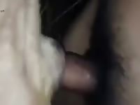 Thai Man Love Dog Gaybeast Rip - Beastiality XXX Sex Tube