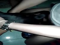 Thaiboy And Female Dog 01 Gaybeast - Animal Sex Video