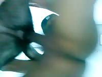 Thaiboy And His Dog Gaybeast.Com - Bestiality Porn Tube