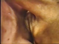 The Fattest Pussy Gay Beast Com - Beastiality Sex