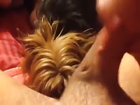 This Dog Loves To Please 2 Gaybeast Rip - Animal Porn
