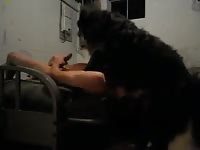 Throat Fuck Gay Beast Com - Animal Sex Porn Movie