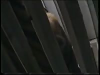 Tiger Cock Gaybeast.Com - Beastiality Sex Movie
