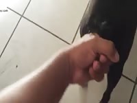 Two Fingers In Small Dog Pussy Gaybeast.Com - Zoo Xxx Sex Tube