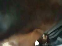 Two Men One Dog Creampie Ending Gaybeast Rip - Bestiality Porn Tube