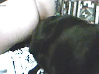 Video 11