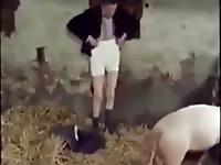 Vintage Grandpa Fucking A Pig Gaybeast.Com - Beastiality XXX Sex Video