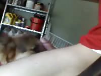 Webcam 18yo Twink Wanks With His Dog Gaybeast.Com - Bestiality Porn
