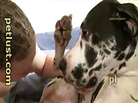 Wendy S First Time Petlust P252
