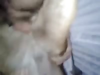 Wet Girl Gaybeast Rip - Zoo Xxx Sex Movie
