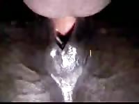 Wet Dreams 1 Gaybeast.Com - Bestiality Sex Movie