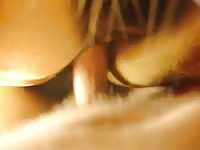 Wet Mare 2 Gaybeast - Animal Sex