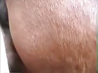 Wet Mare Pussy Gaybeast Rip - Beastiality Sex Movie