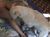 Wife First Time Taking Dog Knot And His Sperm