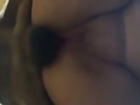Wife Fucked By Dogs