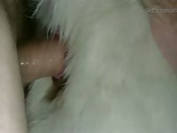 Wildmountainwolf Stud Creampie
