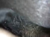 Winter Love Gaybeast - Beastiality Sex Movie