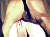 Girl Gets A Fine Piece Of Doggydick Petsex Com - Beastiality Porn Video