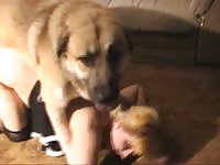 Women A Dog Group Sex