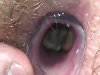 Worm Hole Gay Beast Com - Animal Sex Tube
