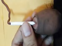 Wormplay My First Time Gaybeast.Com - Animal Sex Movie