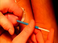Worms Inside Gaybeast.Com - Bestiality Sex Video