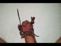 Worms On Cock 1 Gaybeast - Animal Porn Tube(2)