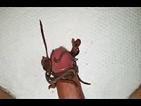 Worms On Cock 1 Gay Beast Com - Beastiality XXX Porn Video