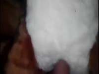 Young Guy Fucking Tiger Plush Gaybeast.Com - Beastiality Sex
