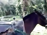 Young Latino Boy Fucks A Mare Gay Beast Com - Beastiality Sex Movie