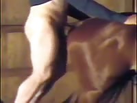Young Man Fucks Horse Ass Gaybeast.Com - Bestiality Porn