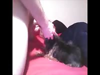 Yourk Lovin Gaybeast - Zoo Xxx Sex Video